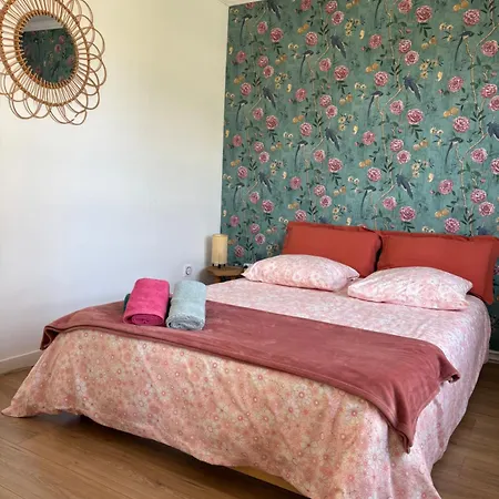 Apartament Lovely Vue Cathedrale, Hyper Centre, Proche Aeroport Et Gare Sncf